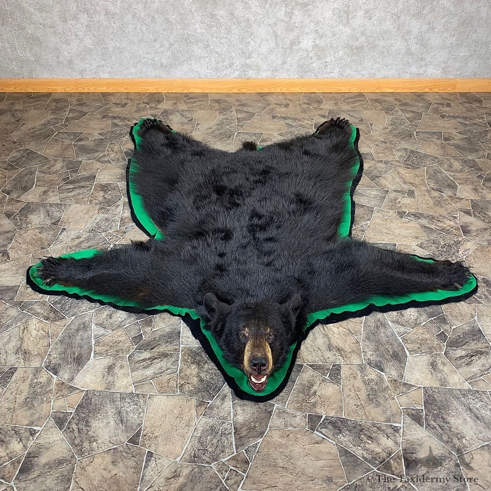 Black Bear Full-Size Rug For Sale #21175 @ The Taxidermy Store