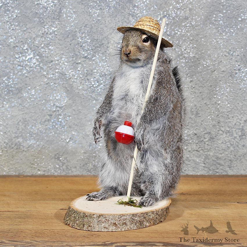 Novelty Fishing Squirrel Mount #11932 For Sale @ The Taxidermy Store