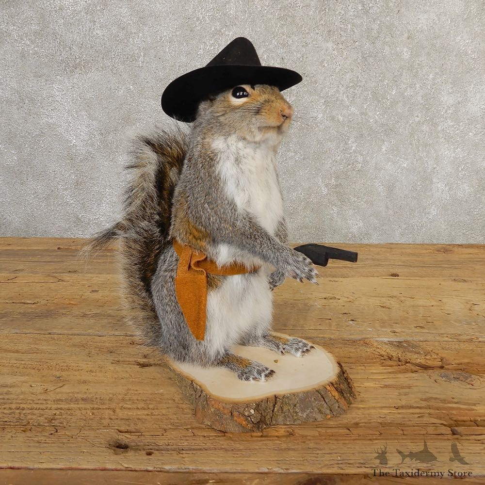 Cowboy Squirrel Novelty Mount For Sale #20735 @ The Taxidermy Store