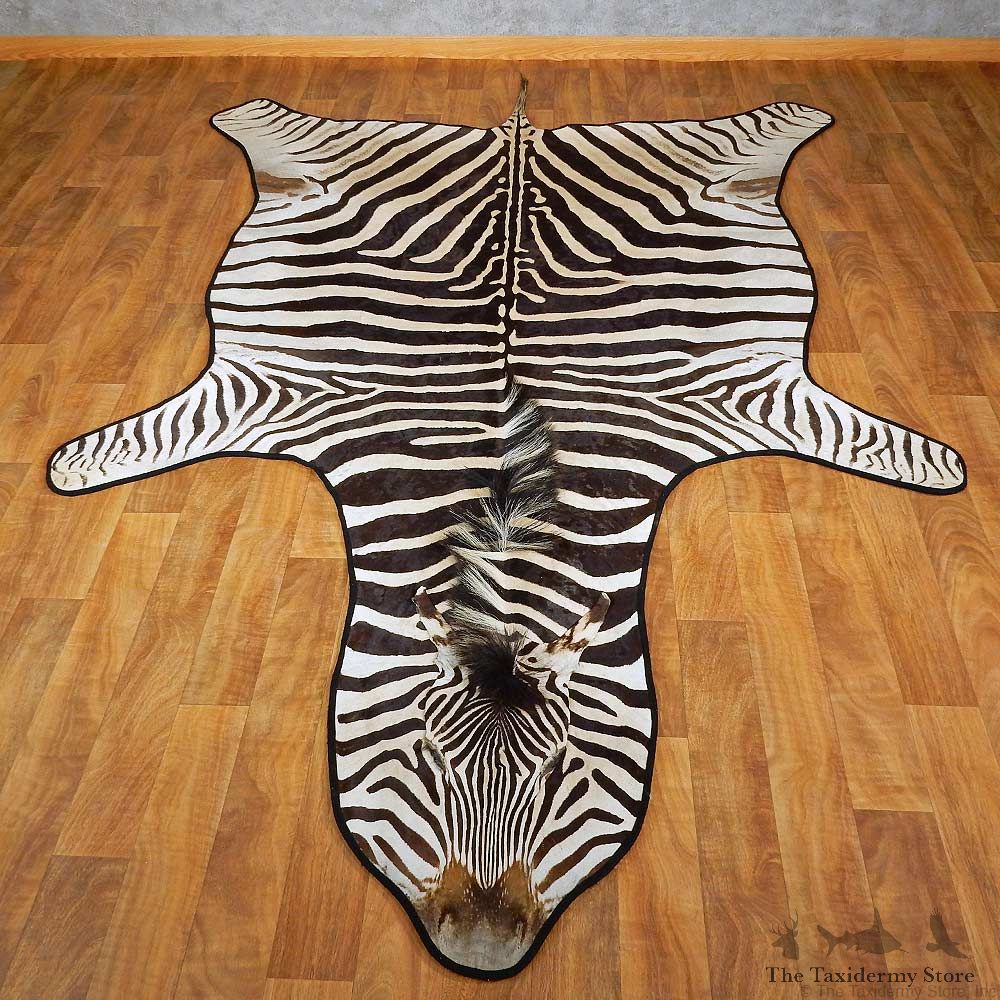 African Zebra Rug Mount For Sale #15265 @ The Taxidermy Store