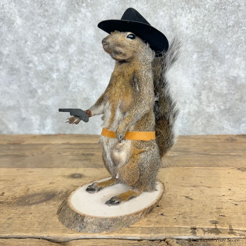 Cowboy Squirrel Novelty Mount For Sale #29483 @ The Taxidermy Store
