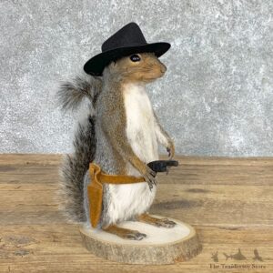 Cowboy Squirrel Novelty Mount For Sale #22438 @ The Taxidermy Store