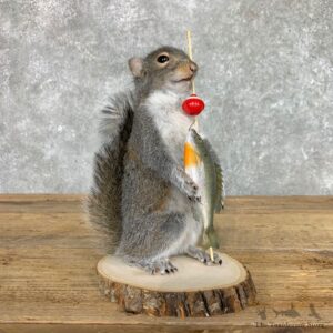 Fishing Squirrel Novelty Mount For Sale #22406 @ The Taxidermy Store