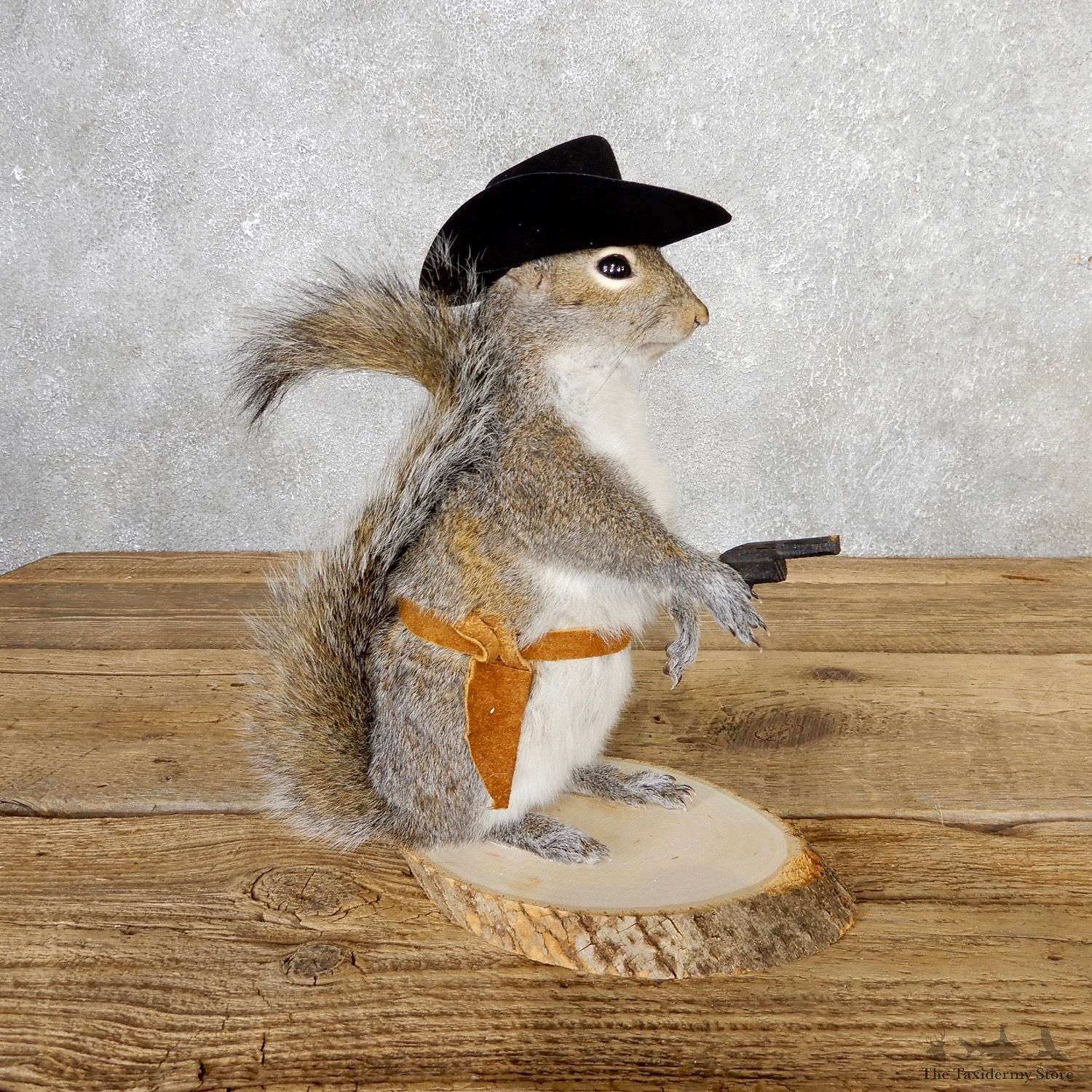Cowboy Squirrel Novelty Mount For Sale #19060 @ The Taxidermy Store