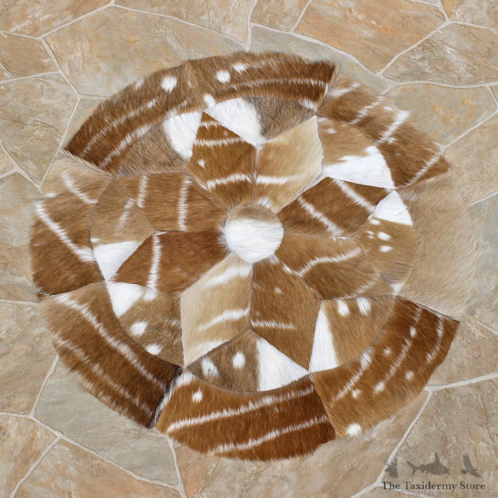 African Bushbuck Hide Taxidermy Rug For Sale