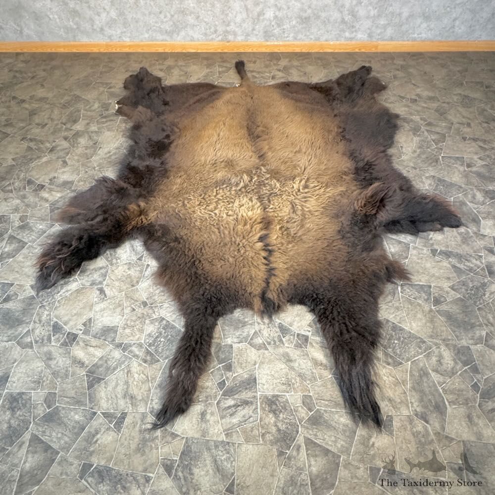 American Buffalo Bison Hide For Sale #28830 - The Taxidermy Store