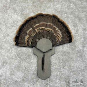 Eastern Wild Turkey Fan Mount For Sale #31707 @ The Taxidermy Store