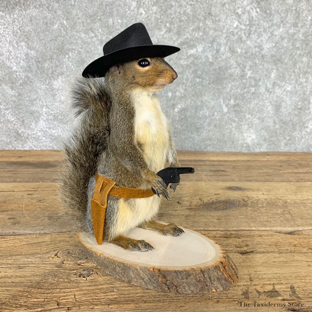 Cowboy Squirrel Novelty Mount For Sale #22443 @ The Taxidermy Store