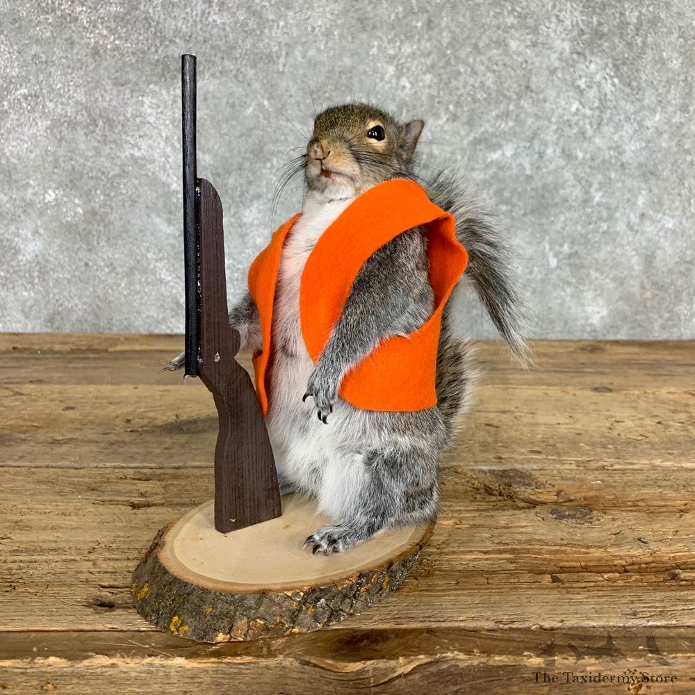 Hunting Squirrel Novelty Mount For Sale #22399 @ The Taxidermy Store