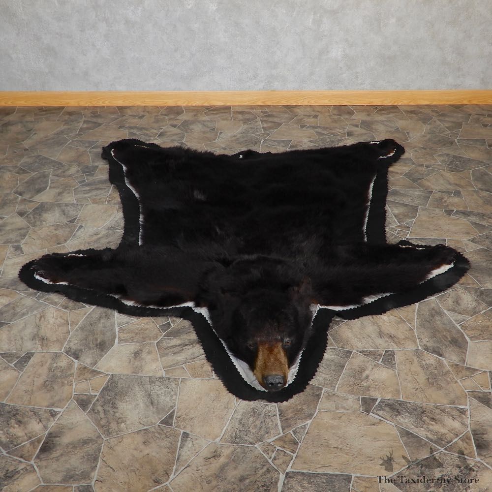 Black Bear Full-Size Rug For Sale #18981 @ The Taxidermy Store