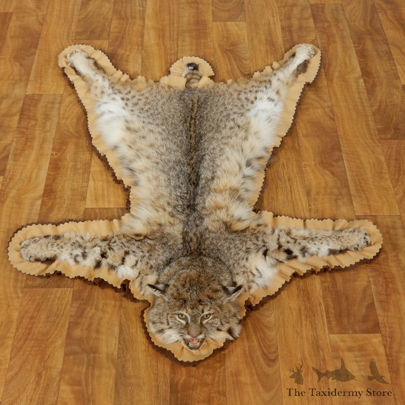 Bobcat Taxidermy Rug Mount For Sale #17437 @ The Taxidermy Store