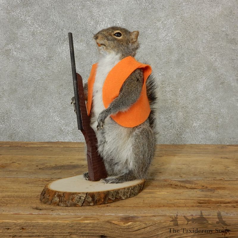 Hunting Squirrel Novelty Mount For Sale #17097 @ The Taxidermy Store
