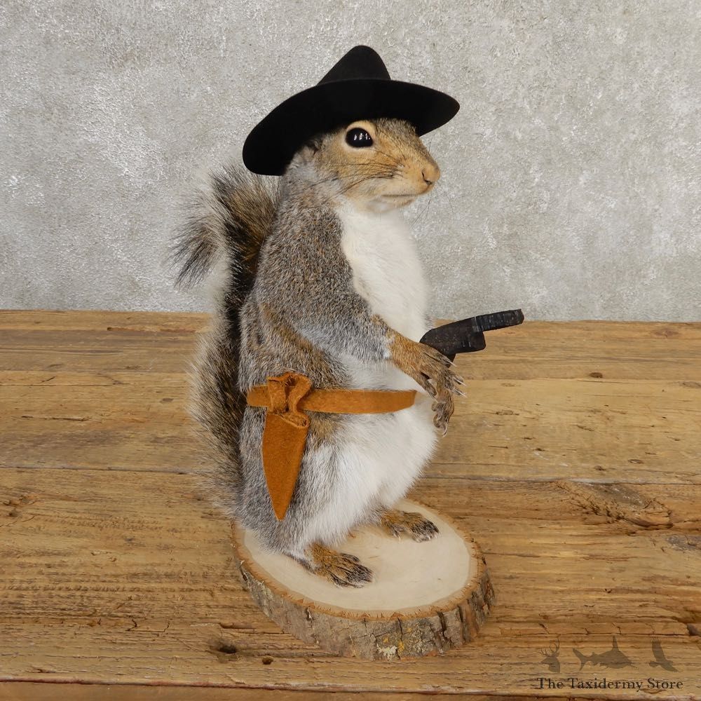 Cowboy Squirrel Novelty Mount For Sale #20734 @ The Taxidermy Store
