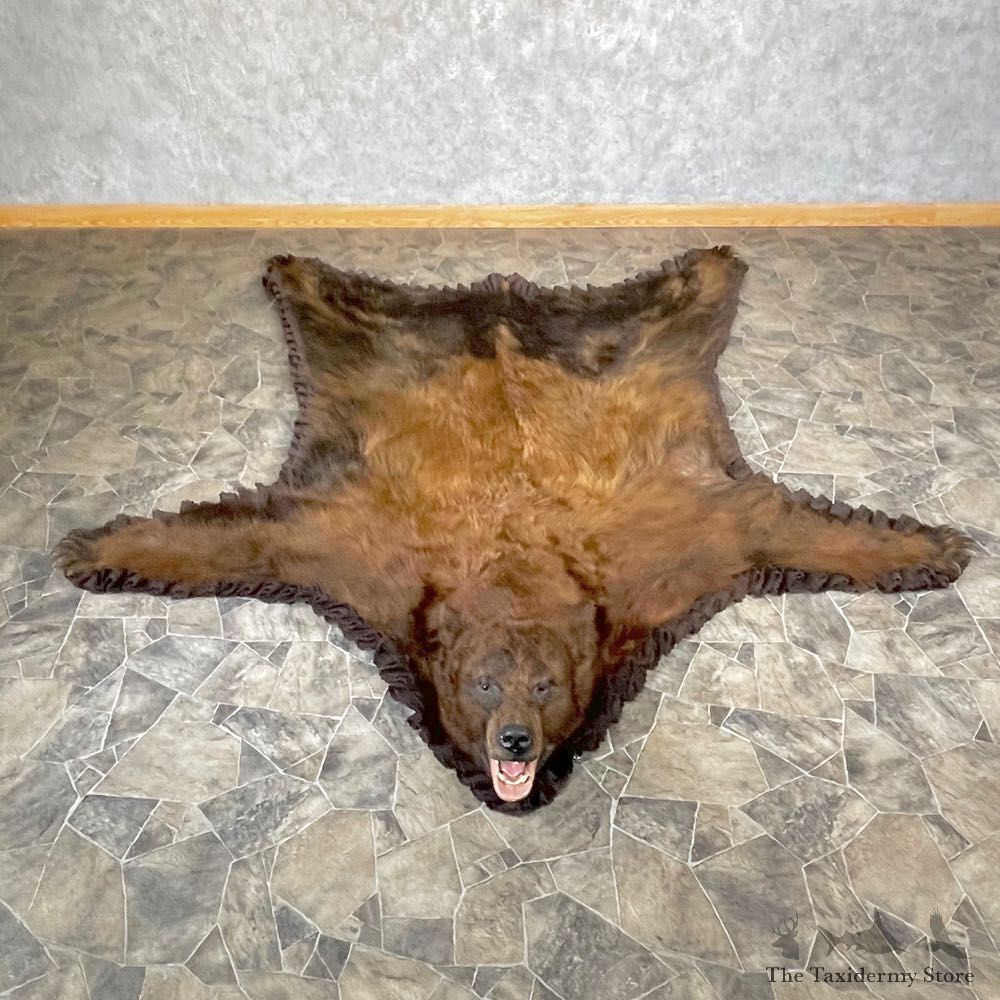 Chocolate Black Bear Full-Size Rug For Sale #24684 @ The Taxidermy Store