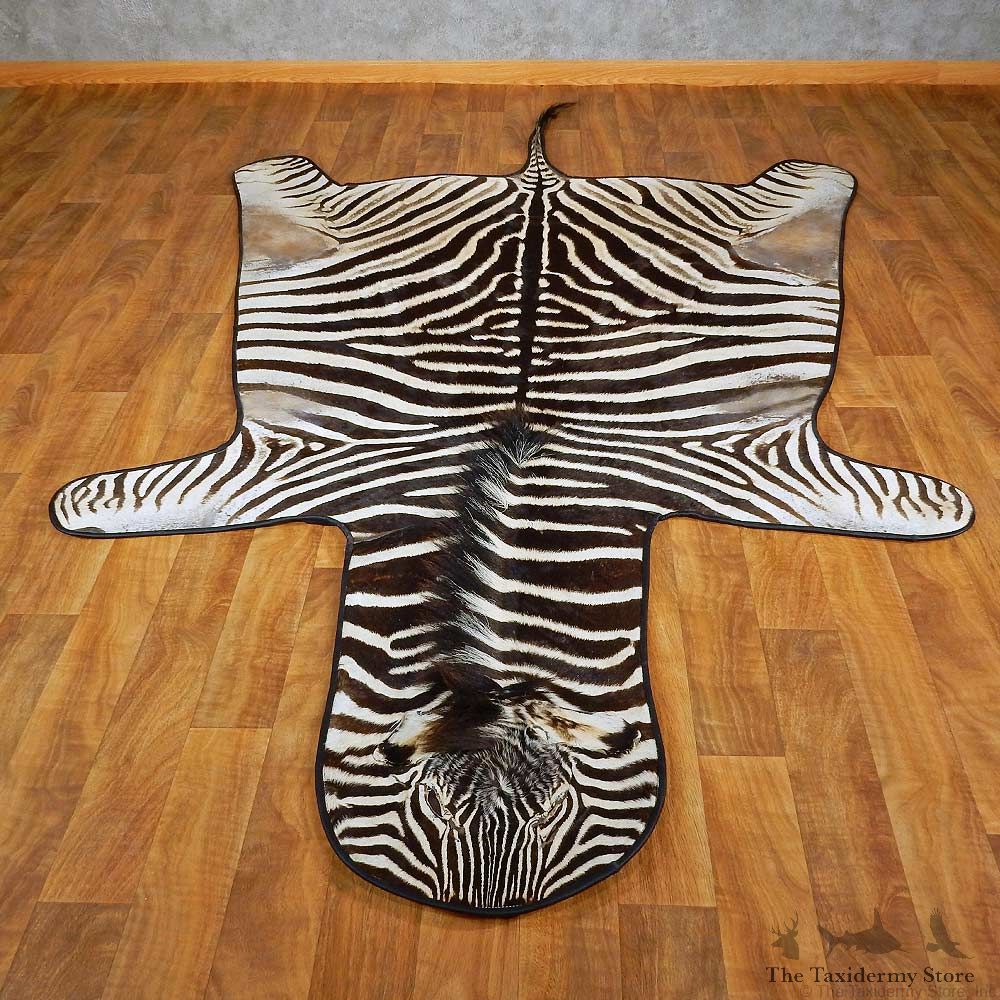 African Zebra Rug Mount For Sale #15269 @ The Taxidermy Store