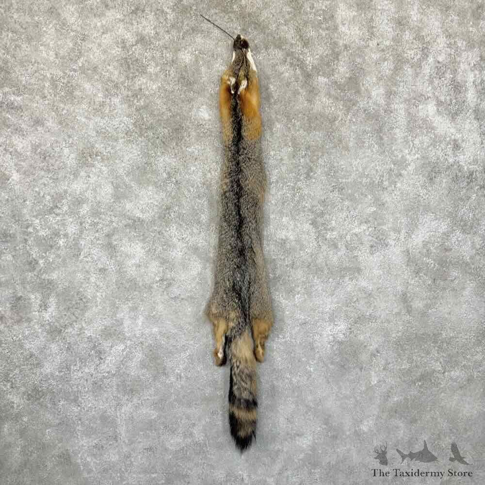 Grey Fox Tanned Hide For Sale #30955 @ The Taxidermy Store