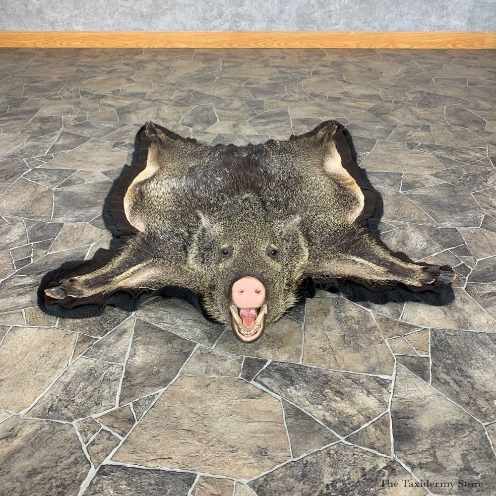 Javelina Full-Size Rug For Sale #22704 @ The Taxidermy Store