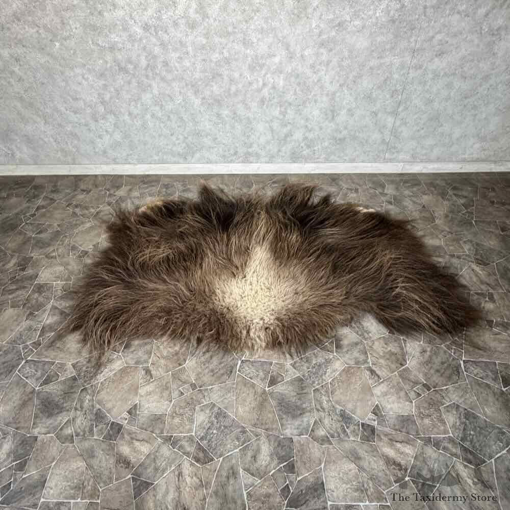 Muskox Back Hide Decor For Sale #31886 @ The Taxidermy Store