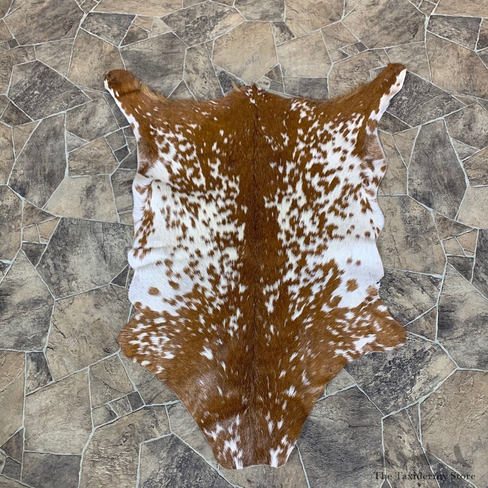Goat Hide Taxidermy Tanned Skin For Sale #22751 @ The Taxidermy Store