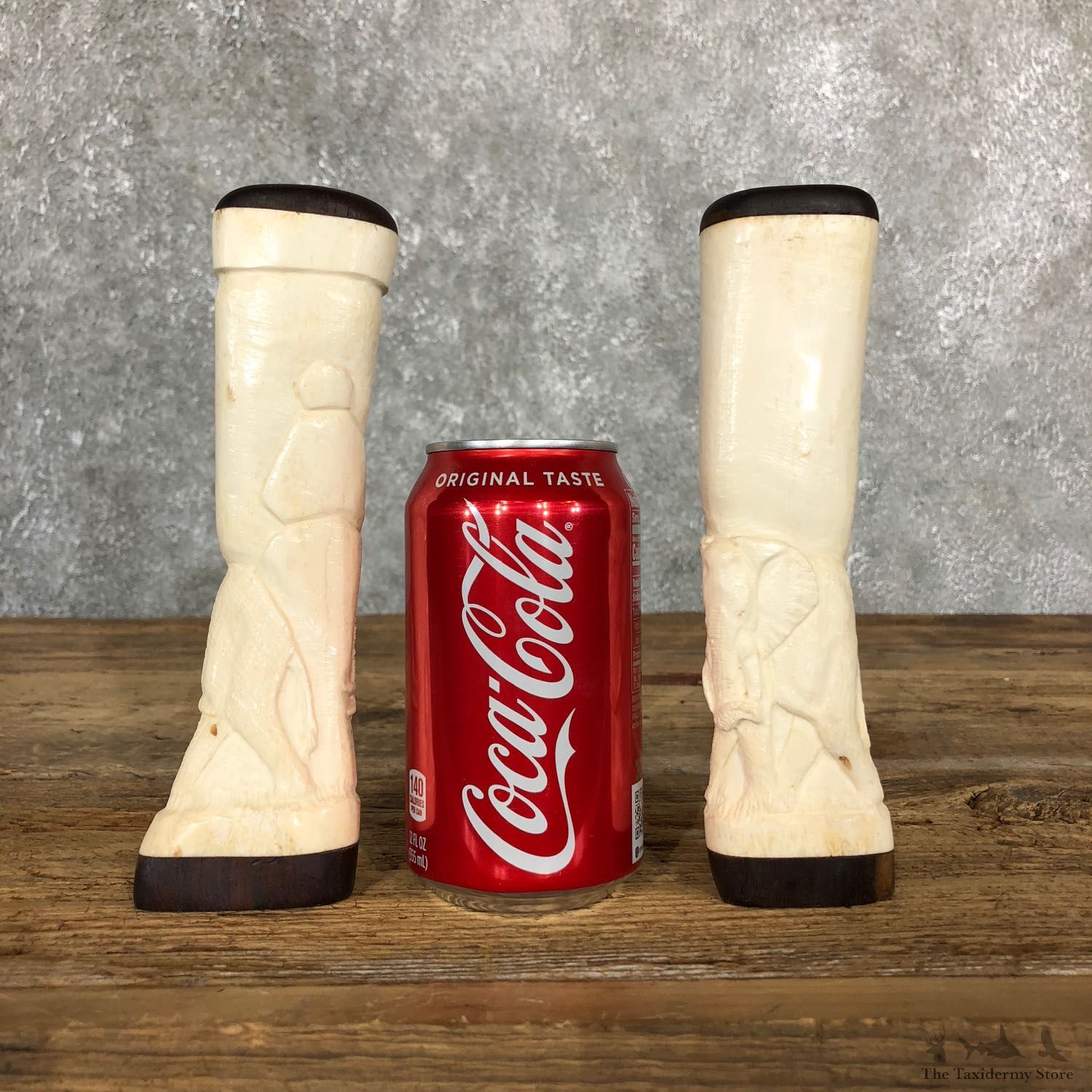 African Giraffe Bone Salt Shakers For Sale #19582 @ The Taxidermy Store