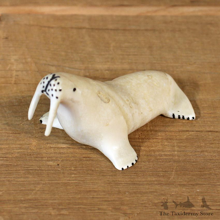 Native Ivory Walrus Figurine #12061 For Sale @ The Taxidermy Store