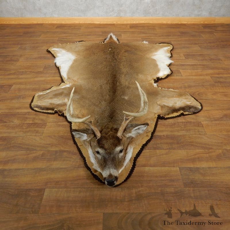 Whitetail Deer Taxidermy Rug Mount #17866 For Sale - The Taxidermy Store