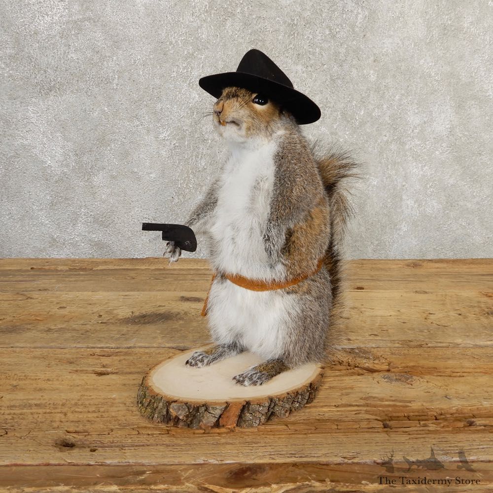 Cowboy Squirrel Novelty Mount For Sale #20718 @ The Taxidermy Store