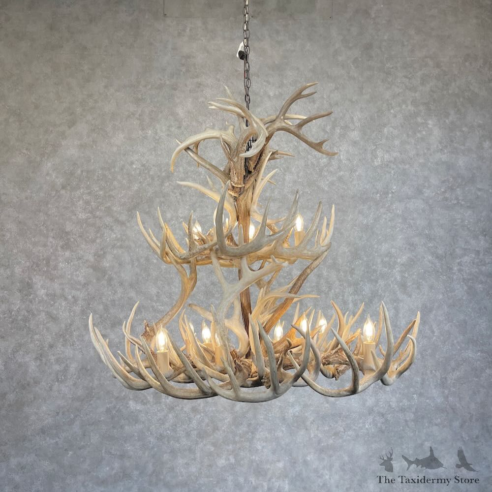 Whitetail Deer Antler Chandelier For Sale #28731 @ The Taxidermy Store