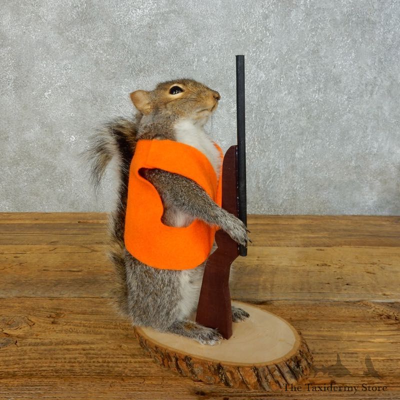 Hunting Squirrel Novelty Mount For Sale #18474 @ The Taxidermy Store