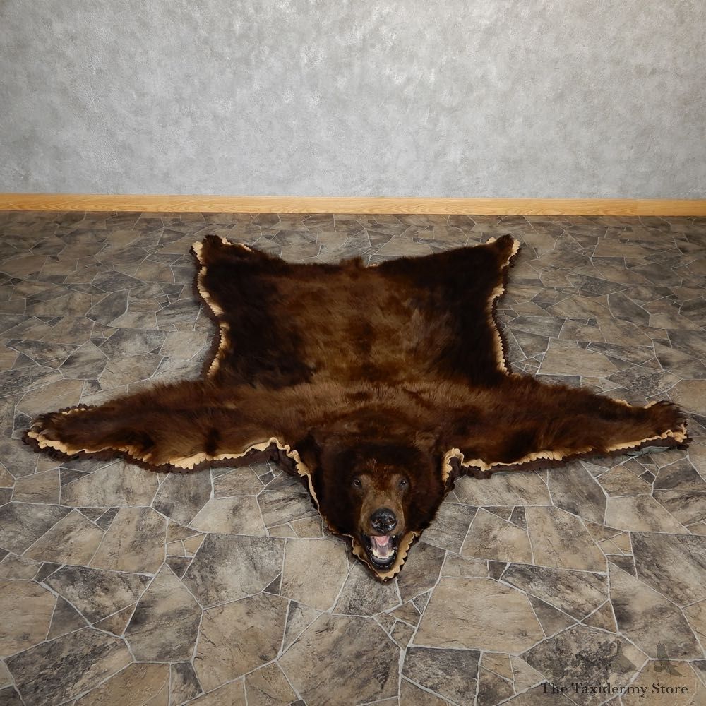 Chocolate Phase Black Bear Full-Size Rug For Sale #18978 @ The Taxidermy Store