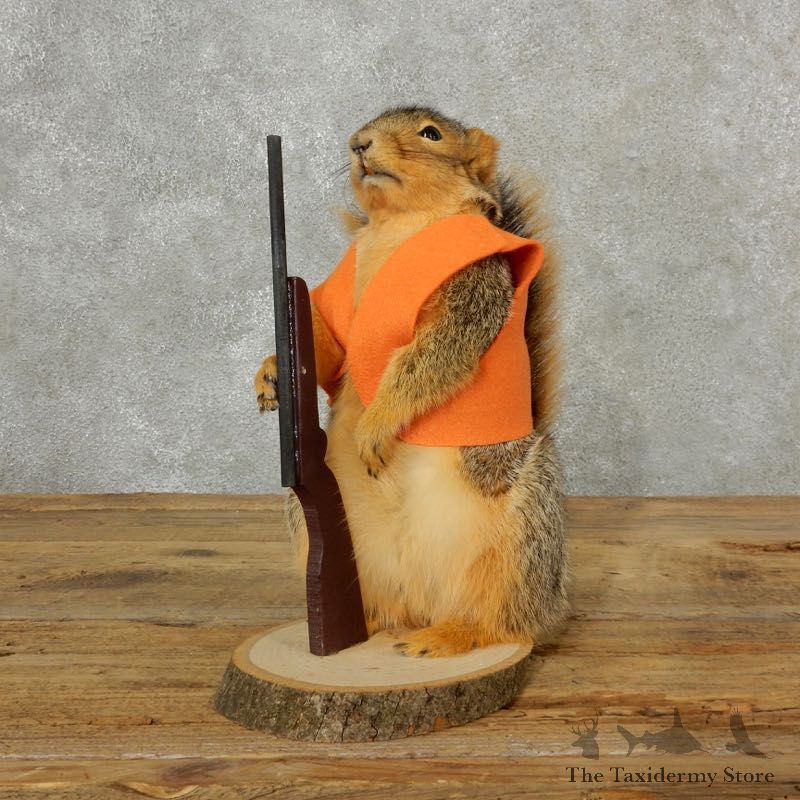 Hunting Squirrel Novelty Mount For Sale #17095 @ The Taxidermy Store