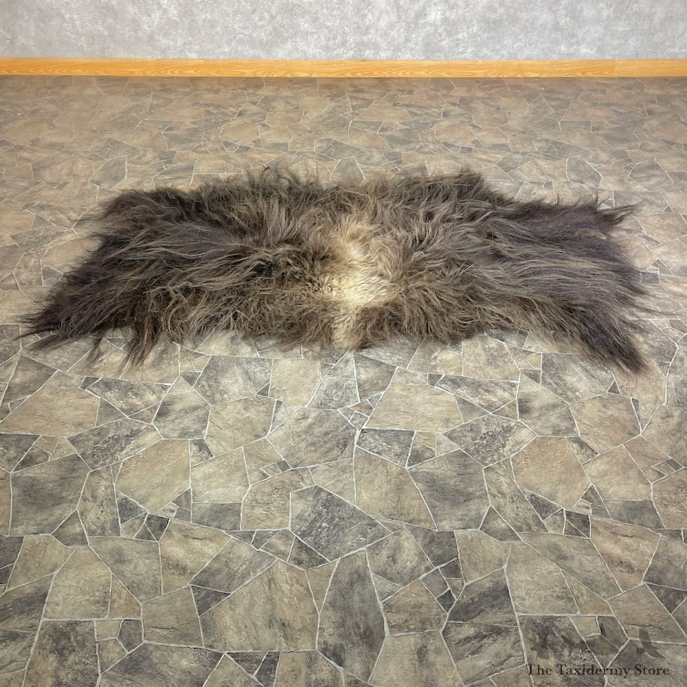 Muskox Back Hide For Sale #26311 @ The Taxidermy Store