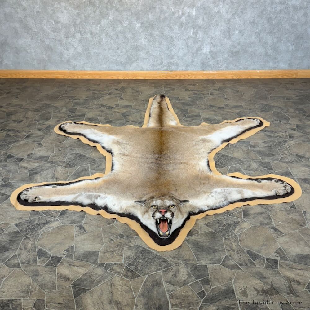 Mountain Lion Full-Size Rug For Sale #28857 @ The Taxidermy Store