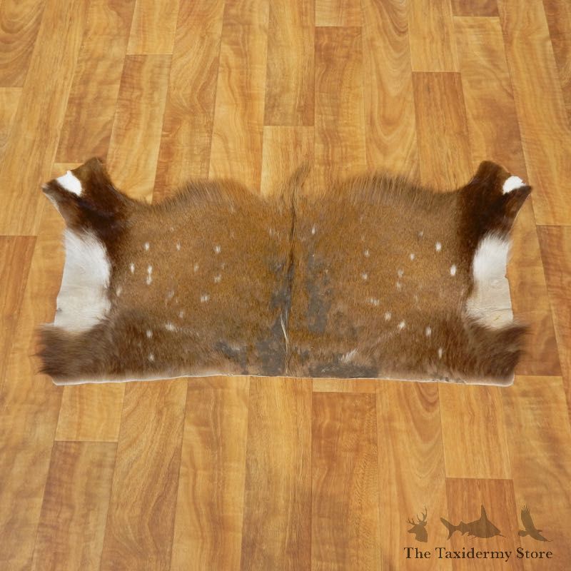 Bushbuck Taxidermy Hide Rug For Sale #17451 @ The Taxidermy Store