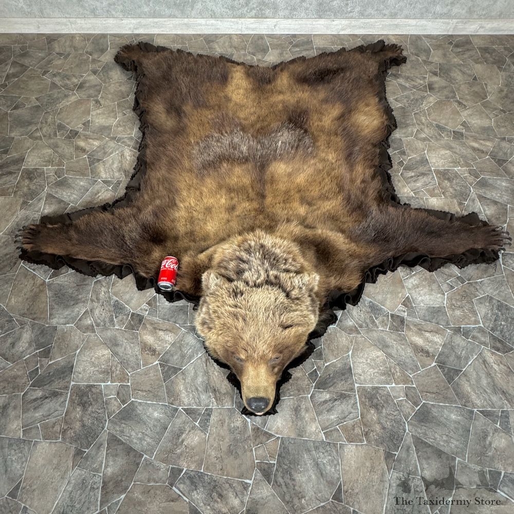 Grizzly Bear Full Size Rug Mount For Sale #29302 @ The Taxidermy Store