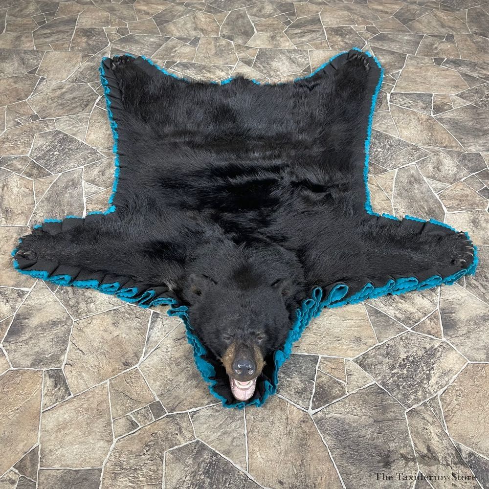 Black Bear Full-Size Rug For Sale #24566 @ The Taxidermy Store