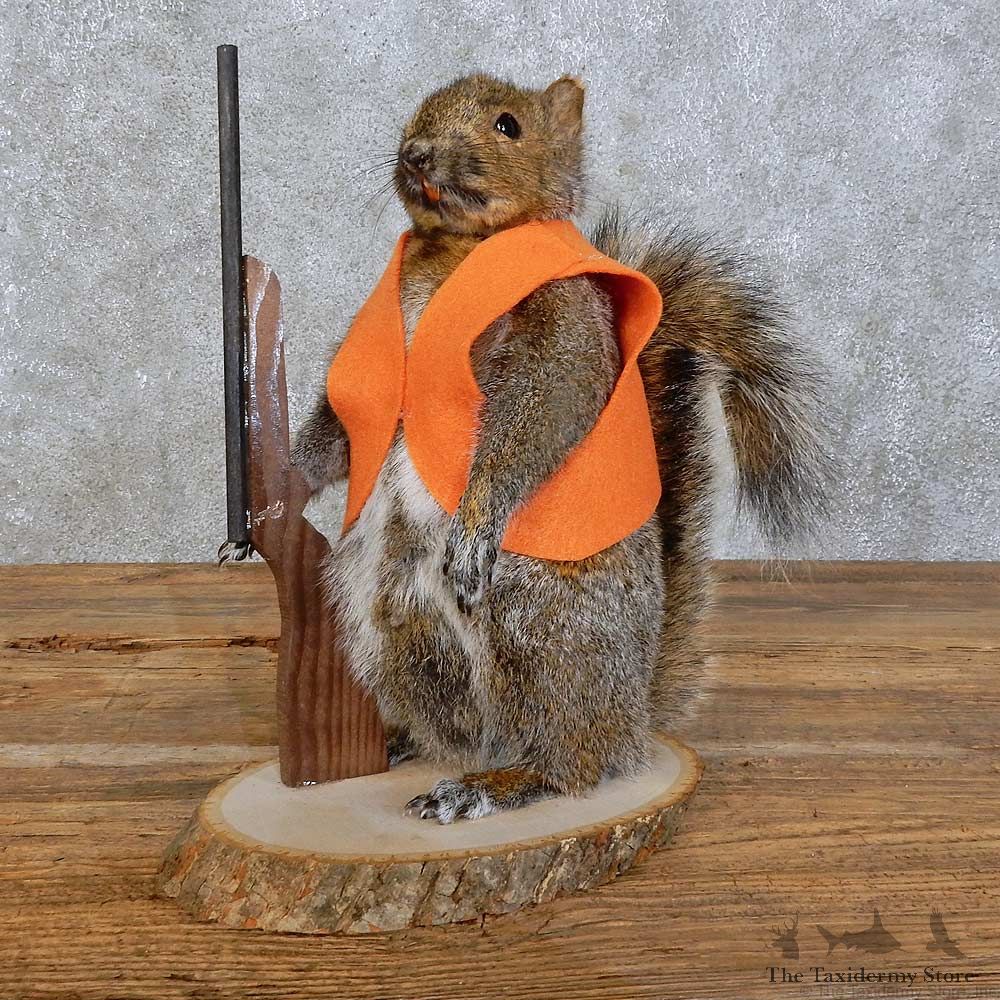 Hunting Squirrel Novelty Mount For Sale #15942 @ The Taxidermy Store