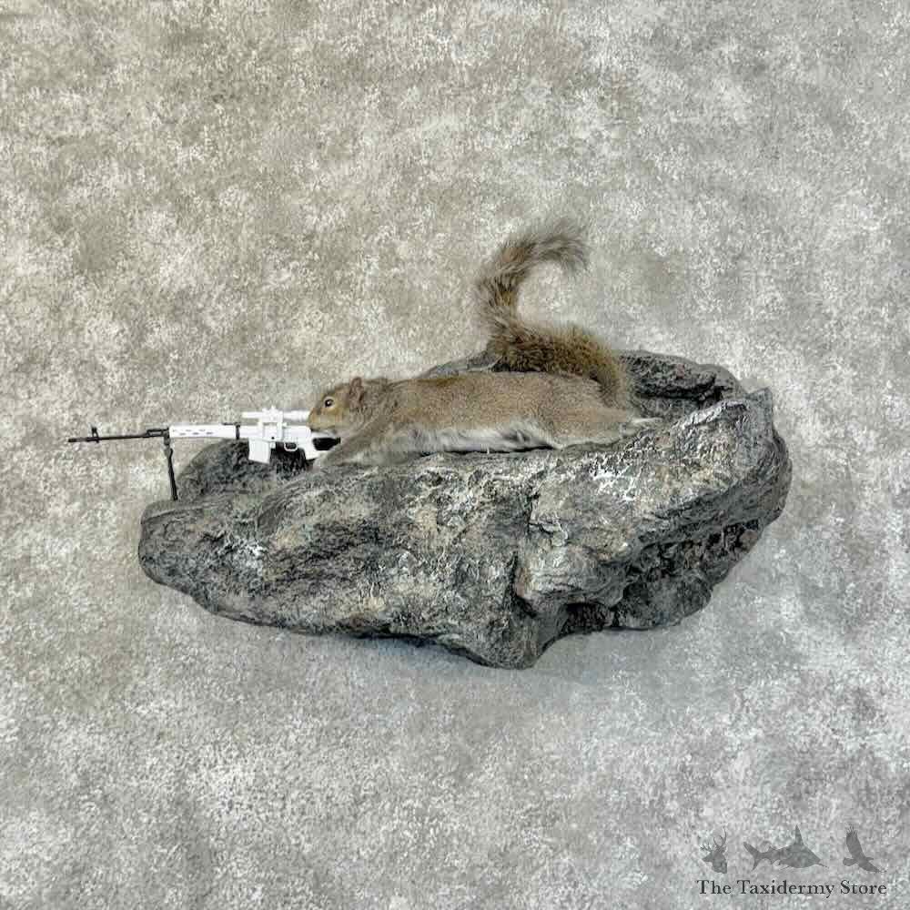 Sniper Squirrel Novelty Mount For Sale #31473 @ The Taxidermy Store