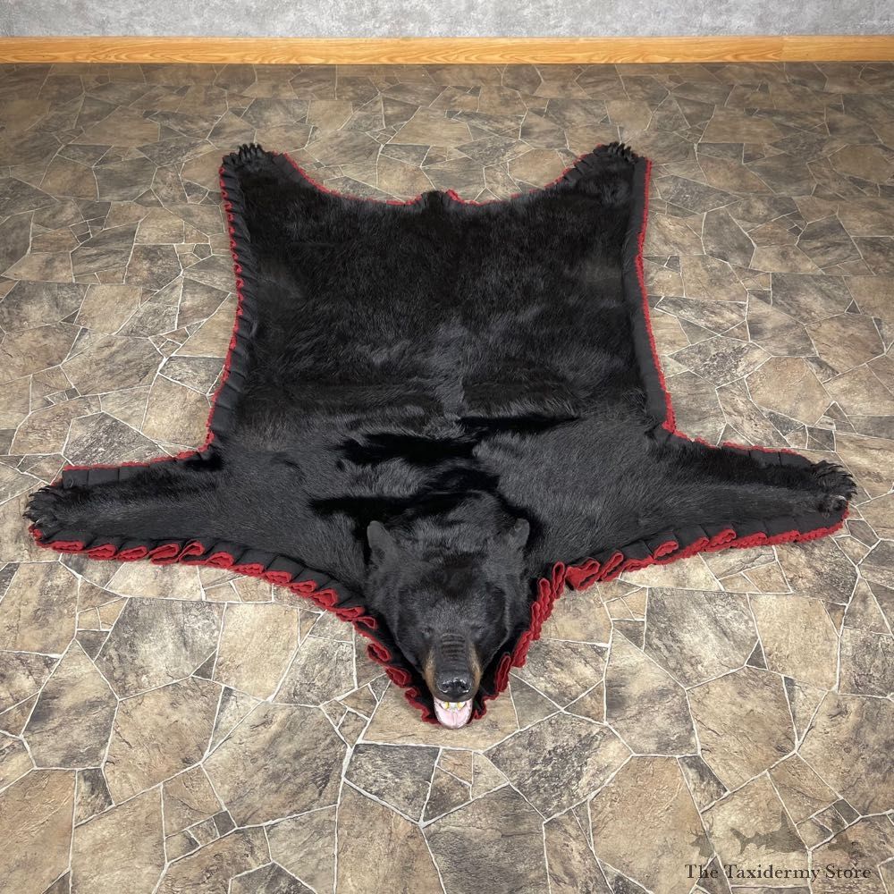 Black Bear Full-Size Rug For Sale #24565 @ The Taxidermy Store