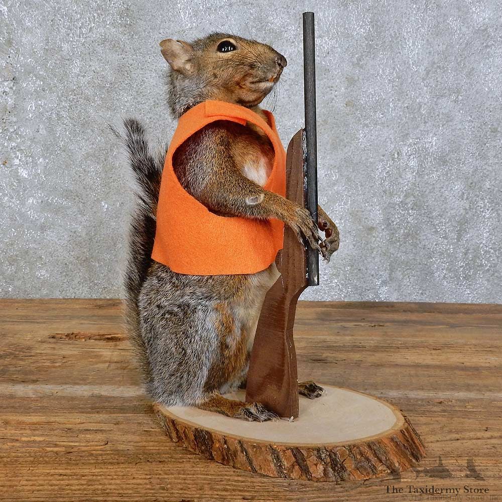 Hunting Squirrel Novelty Mount For Sale #15945 @ The Taxidermy Store