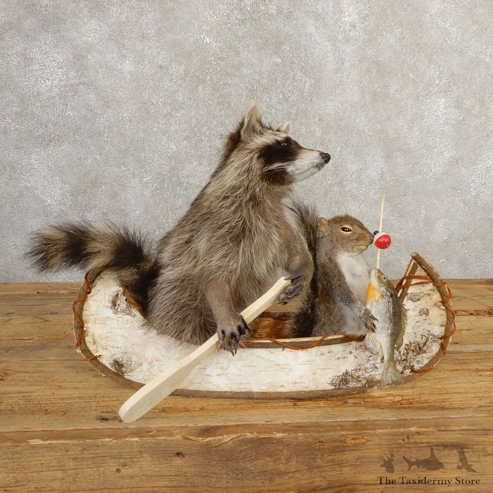 Canoeing Raccoon And Fishing Squirrel Novelty Mount For Sale #20747 @ The Taxidermy Store