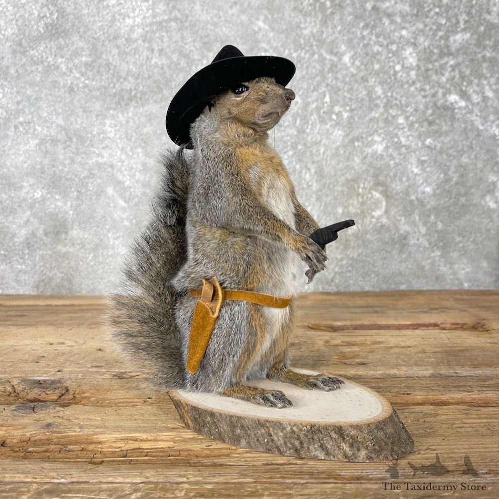 Cowboy Squirrel Novelty Mount For Sale #26079 @ The Taxidermy Store
