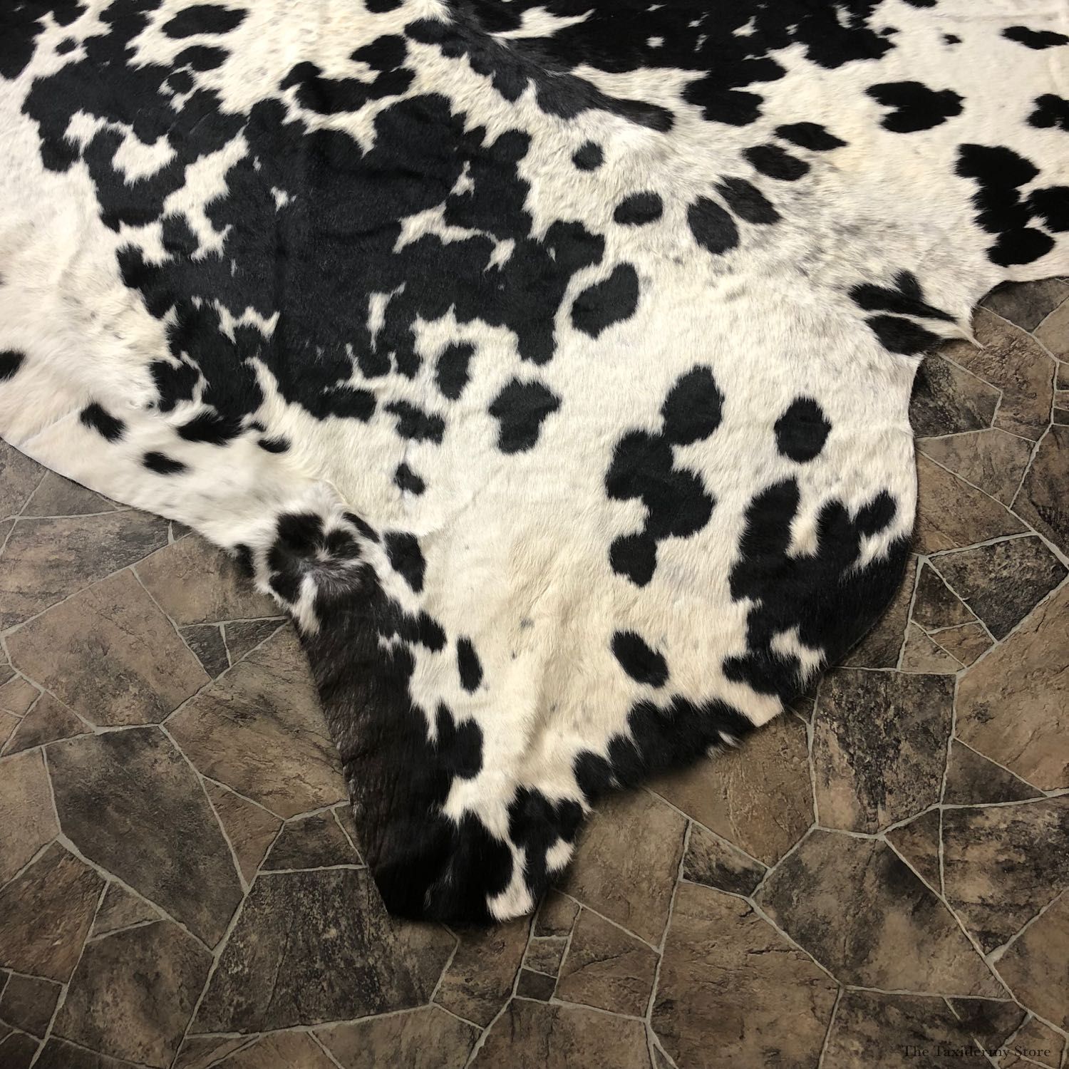 Black and White Cowhide Taxidermy Tanned Skin For Sale #20089 @ The Taxidermy Store