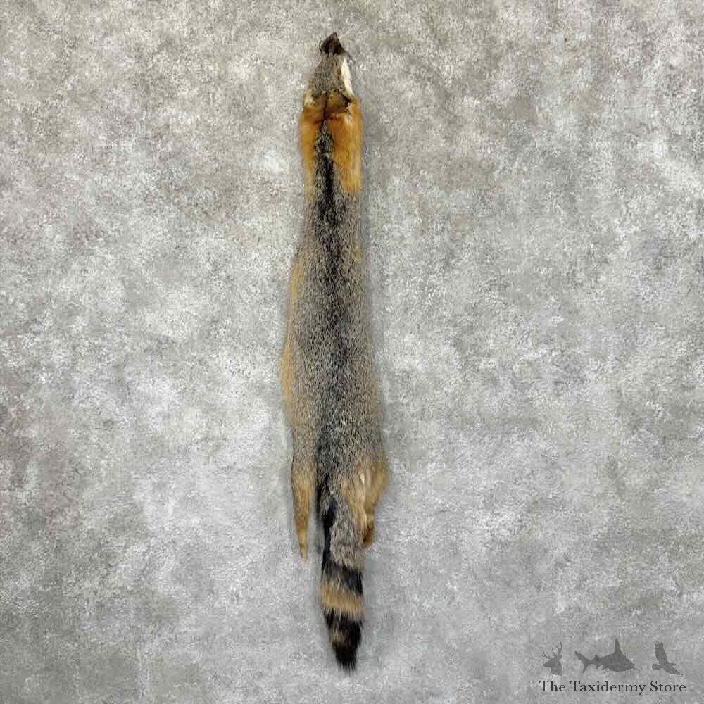 Grey Fox Tanned Hide For Sale #30963 @ The Taxidermy Store