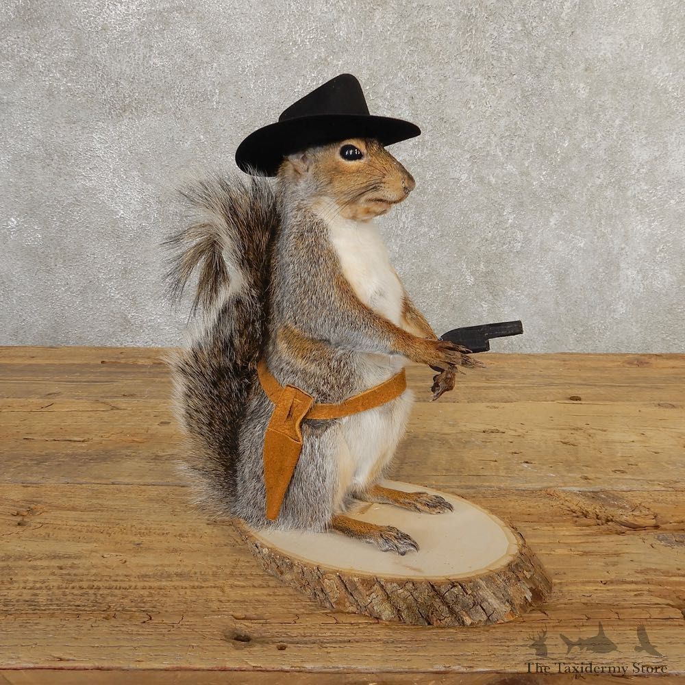 Cowboy Squirrel Novelty Mount For Sale #20727 @ The Taxidermy Store