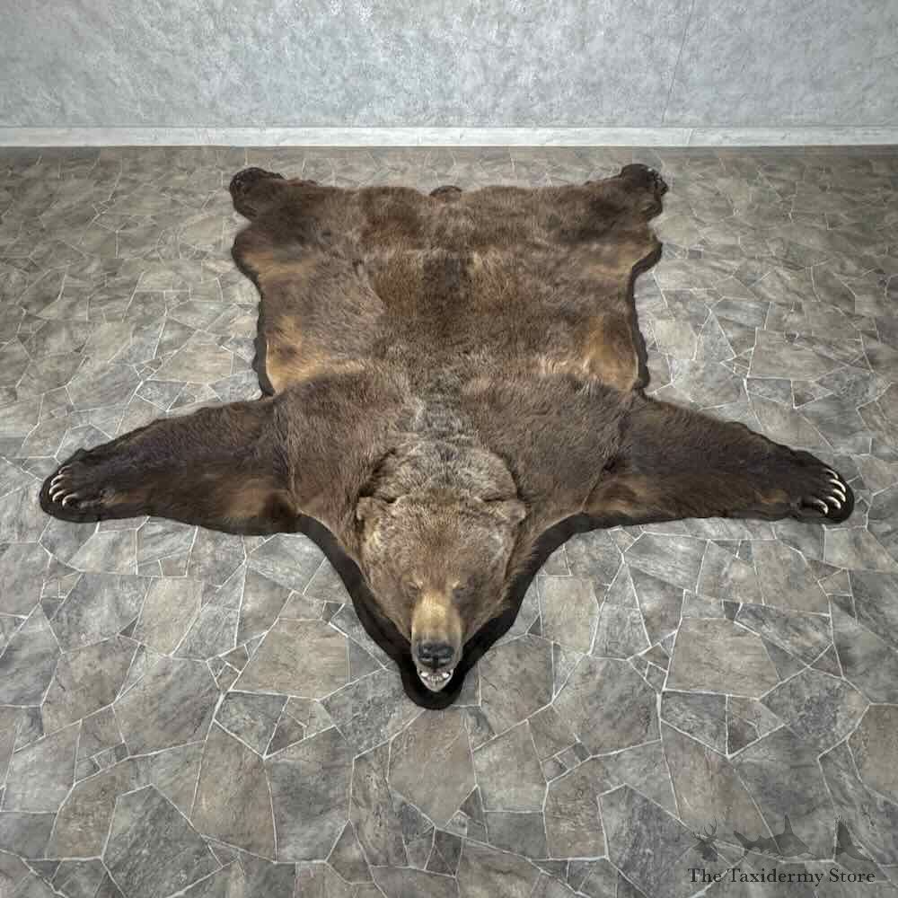 Grizzly Bear Full Size Rug For Sale #31878 @ The Taxidermy Store