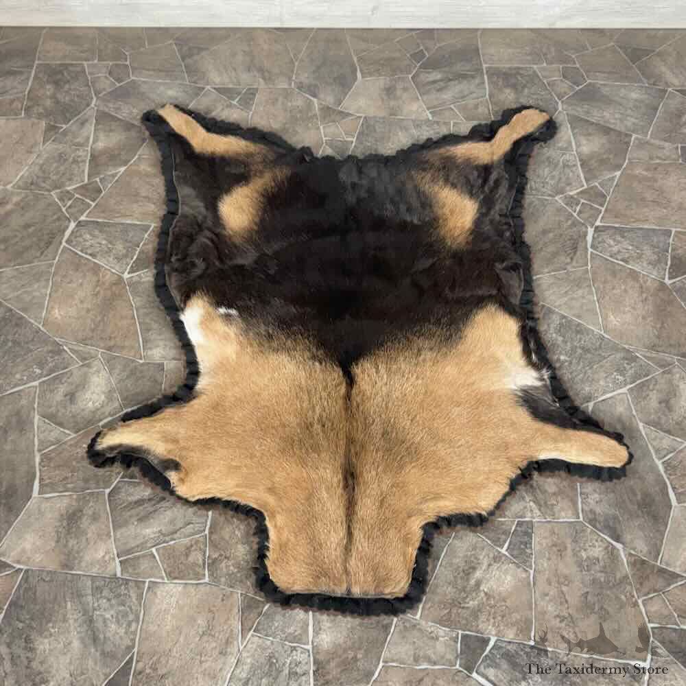 Hybrid Ibex Rug For Sale #31887 @ The Taxidermy Store