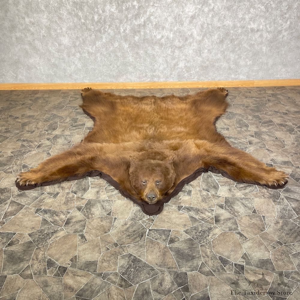 Cinnamon Phase Black Bear Full-Size Rug For Sale #25260 @ The Taxidermy Store