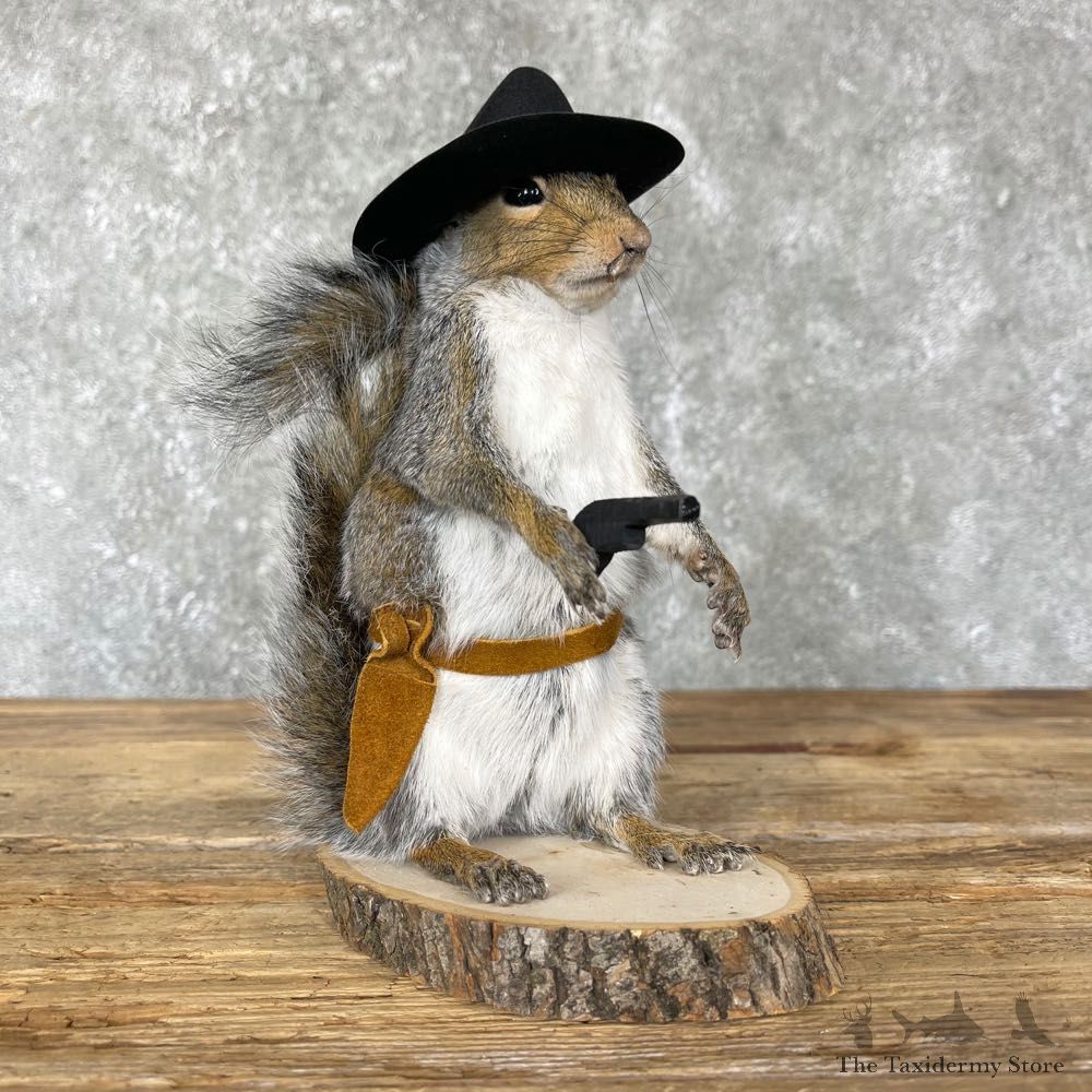 Cowboy Squirrel Novelty Mount For Sale #24359 @ The Taxidermy Store