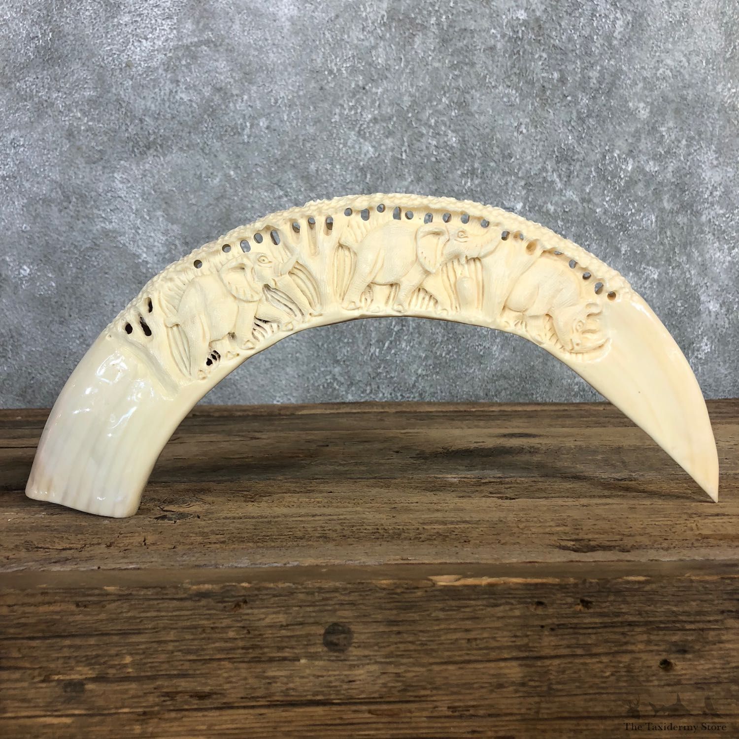 Carved Hippopotamus Tooth For Sale #19961 @ The Taxidermy Store